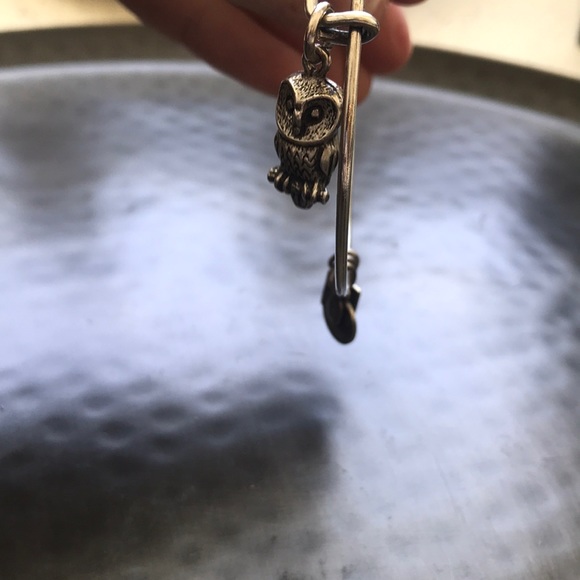 Alex and Ani owl bangle bracelet in silver - Picture 4 of 6
